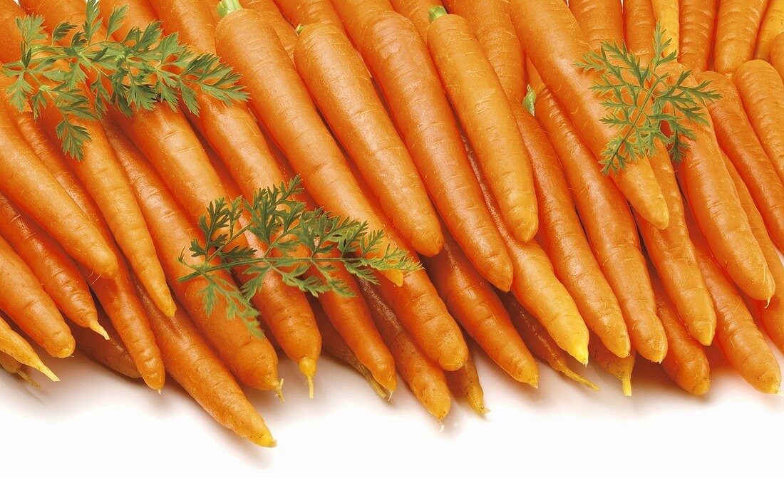 Fresh carrots, neatly arranged