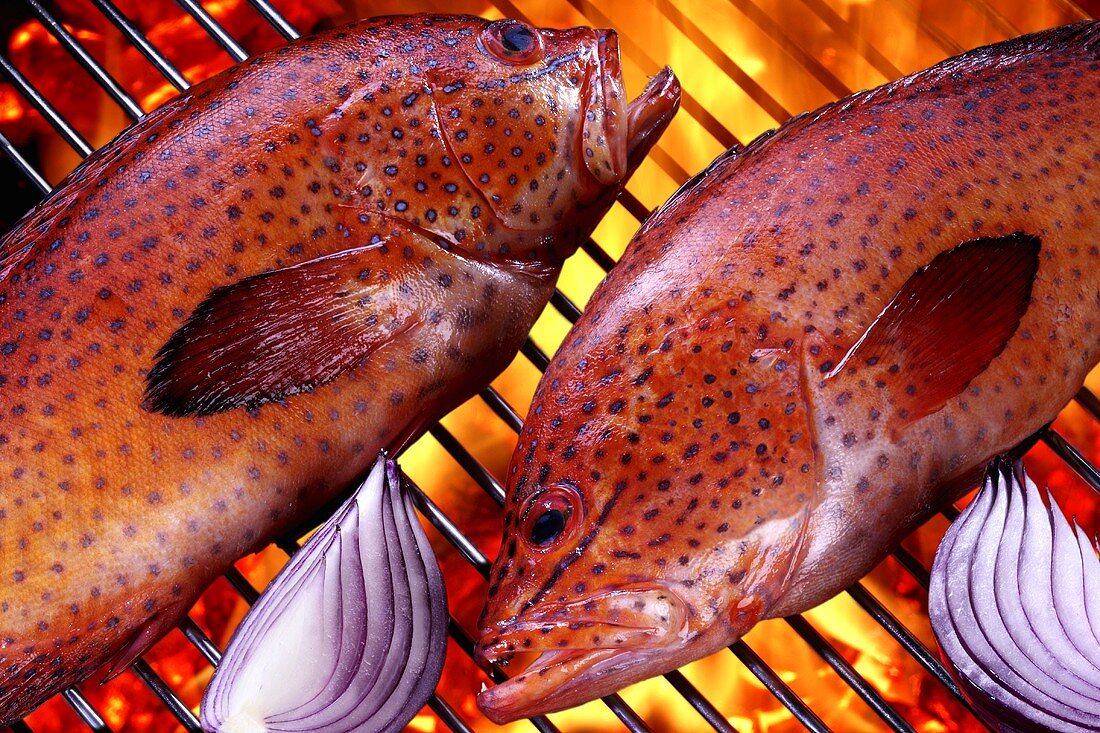 Two strawberry groupers on barbecue
