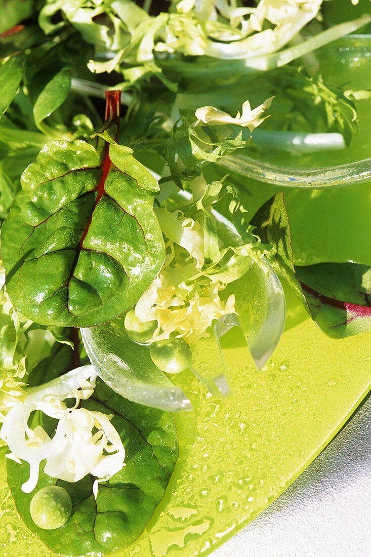 Gemischter grüner Salat mit Salatbesteck