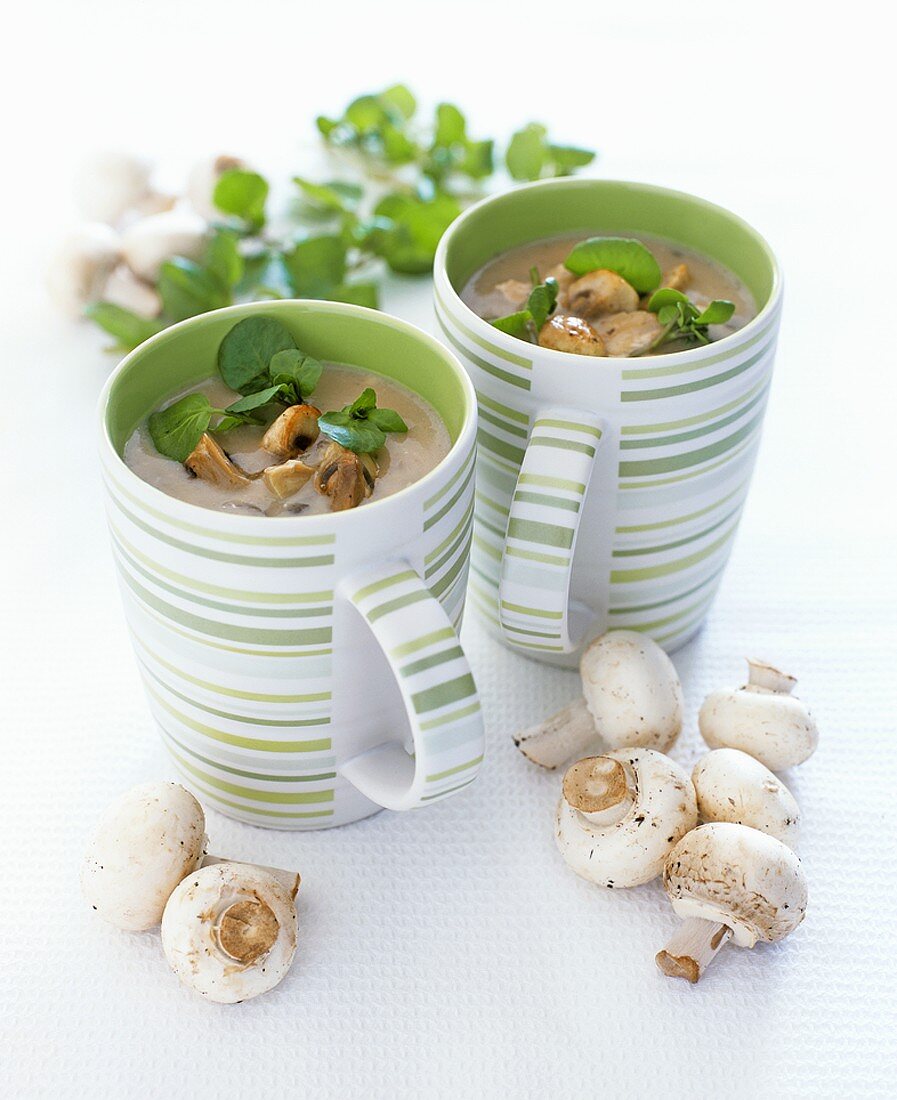 Mushroom soup with precooked chicken breast & watercress