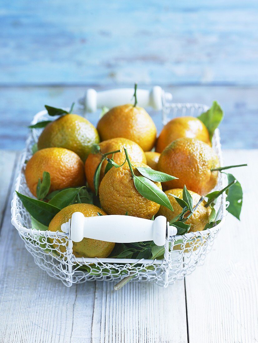 Satsumas in wire basket