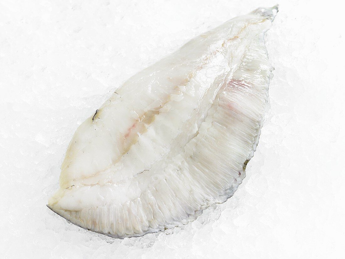 Turbot fillet on crushed ice