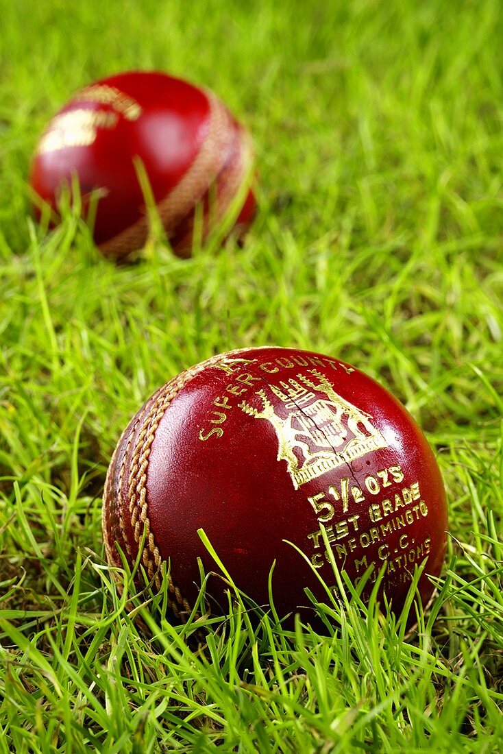 Two cricket balls in grass