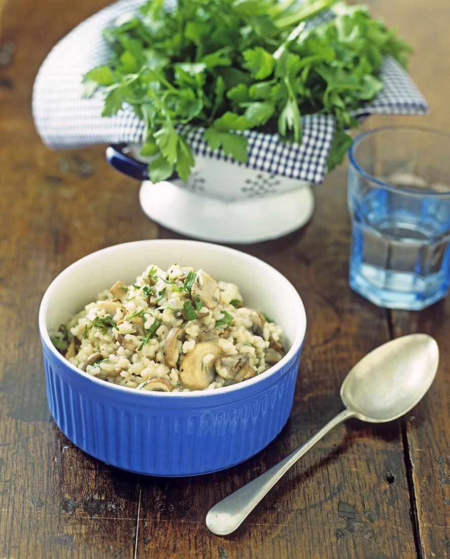 Champignon-Risotto mit Petersilie