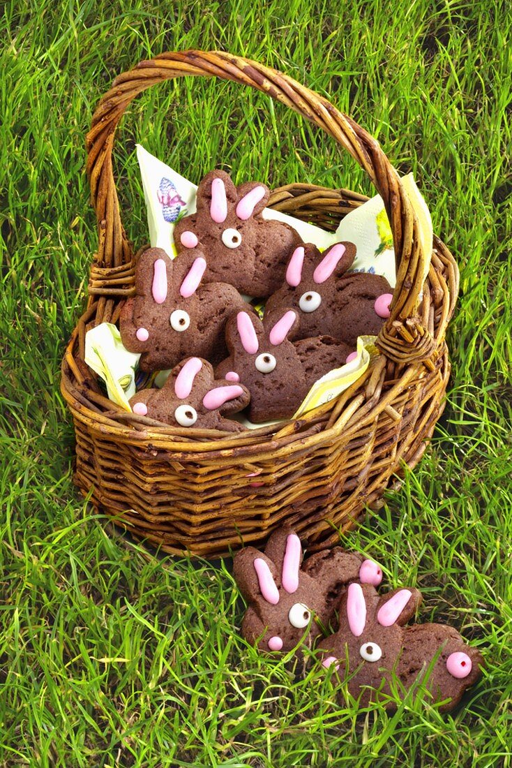 Sponge Easter Bunnies in a basket and in grass