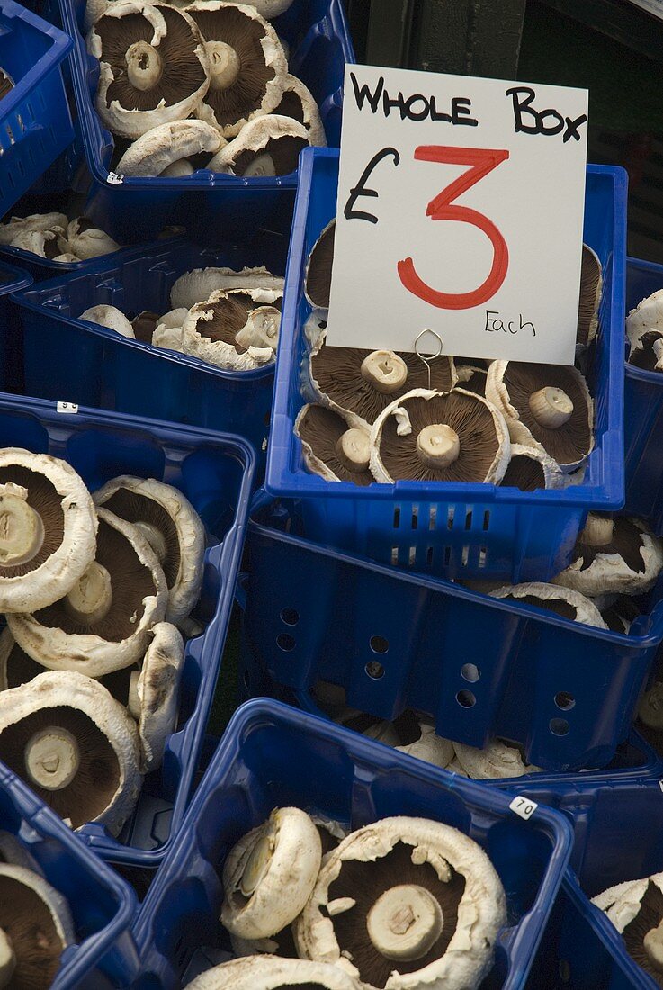 Field mushrooms with price sign on a market stall