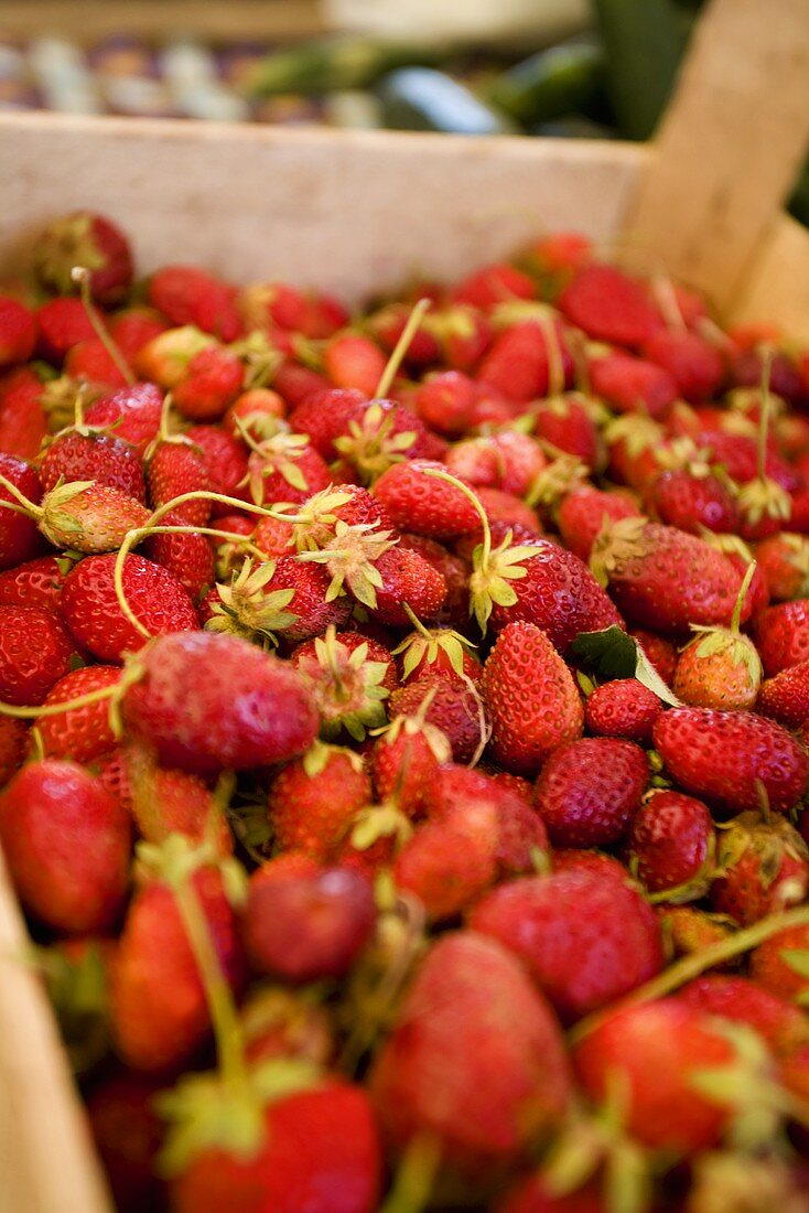 Frische Bio-Erdbeeren in einer Steige