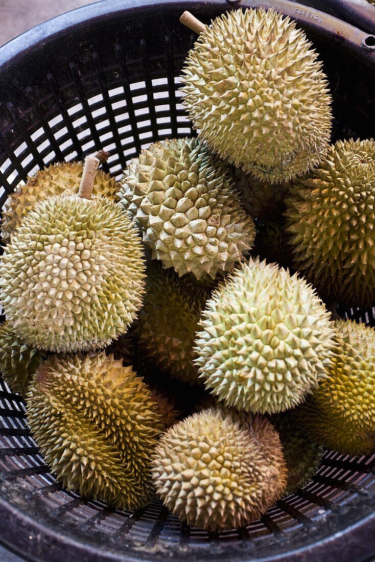 Durians on a market stall, Singapore