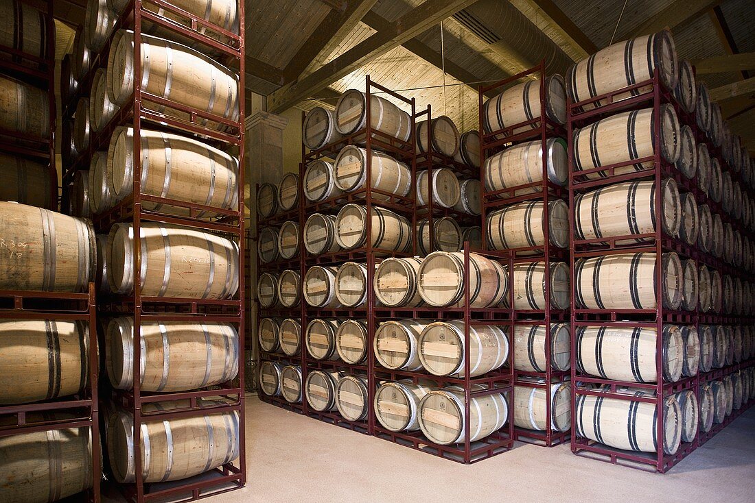 Rioja barrels, Spain