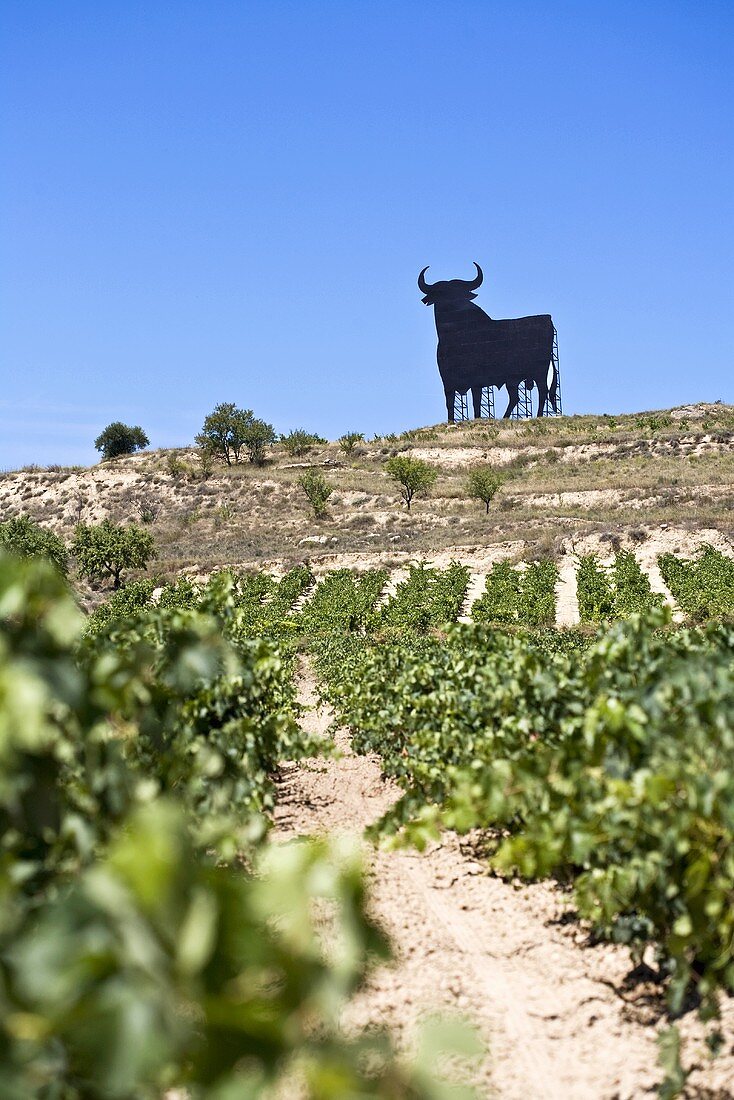 Der berühmte Sherry-Stier, Rioja, Spanien