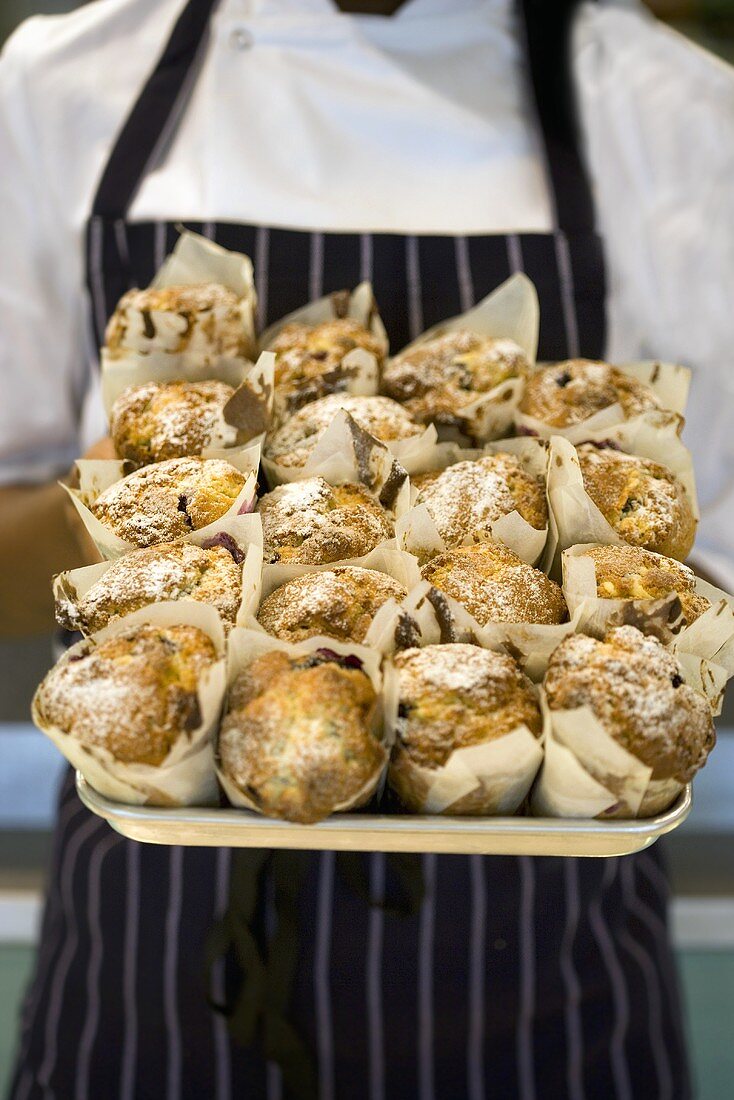 Mann hält Tablett mit Muffins