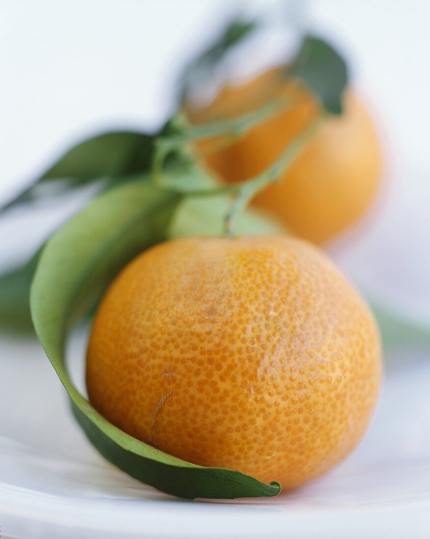 Clementines