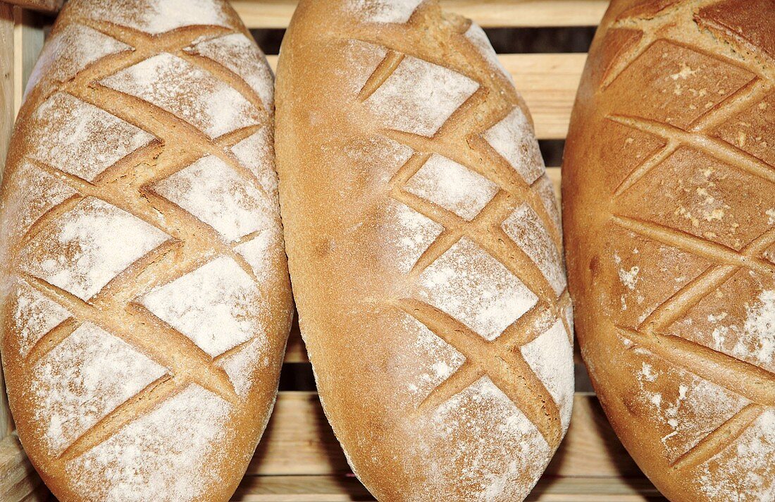 Drei selbstgebackene Bio-Brote