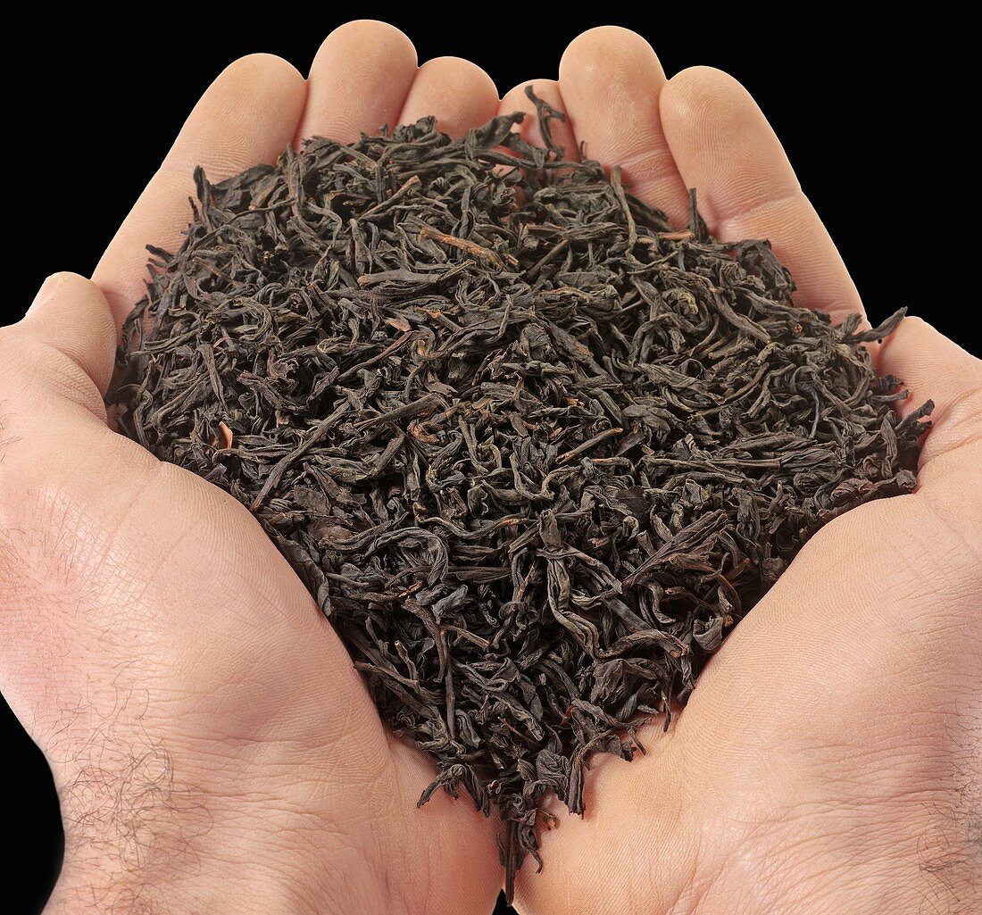 Dried tea leaves in someone's hands (close-up)