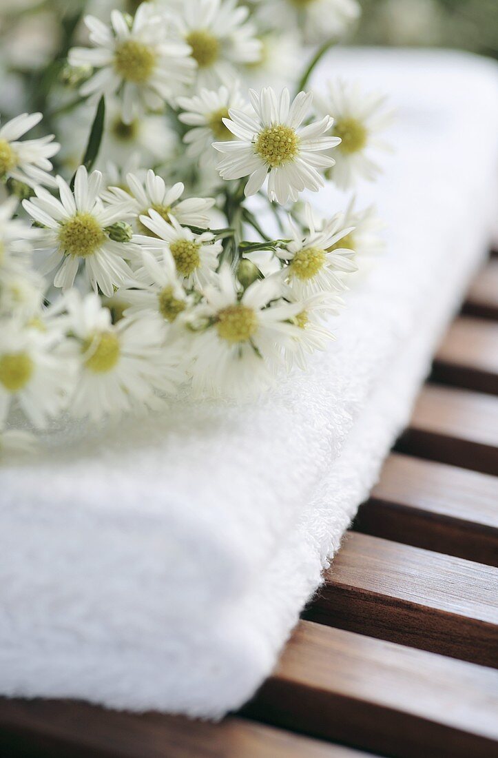 White asters on towel