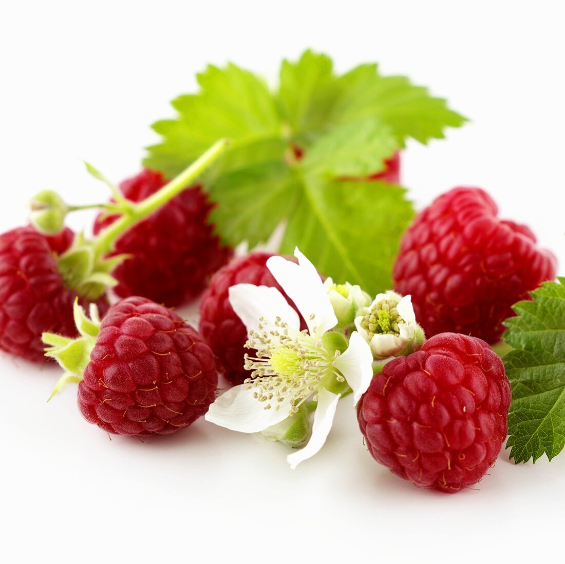 Himbeeren mit Blüten und Blättern (Nahaufnahme)