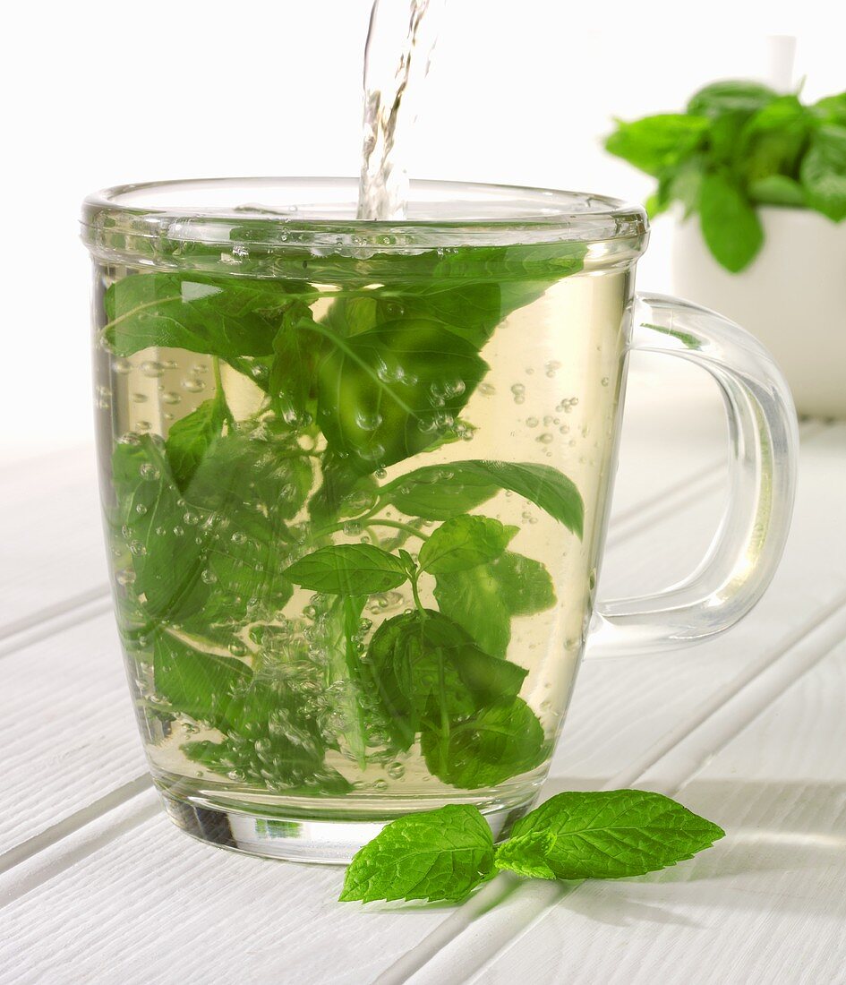 Pouring mint tea into a glass cup