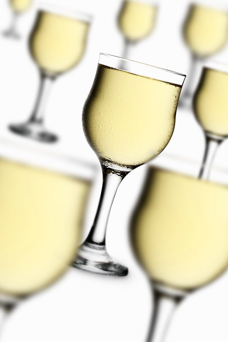 Several glasses of white wine