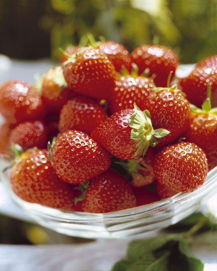 Bowl of fresh strawberries