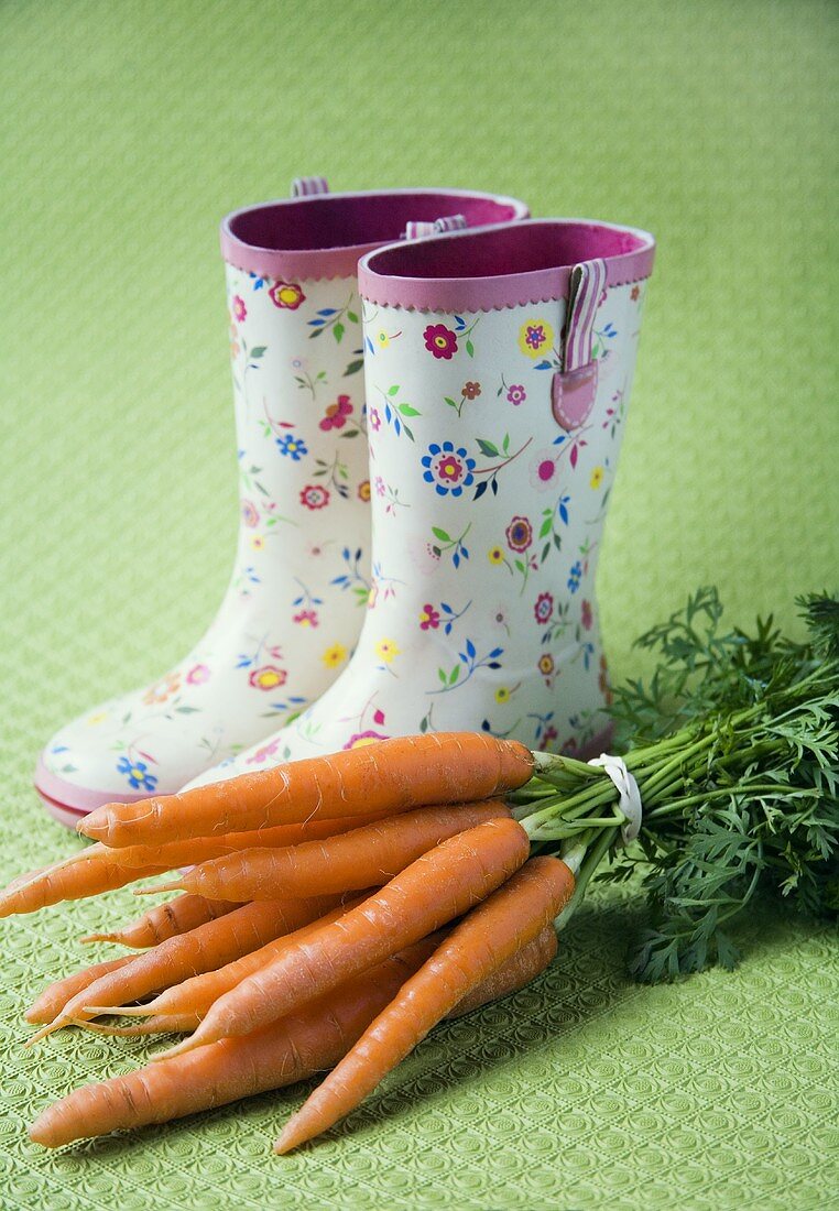 Bunch of carrots in front of a pair of child's rubber boots