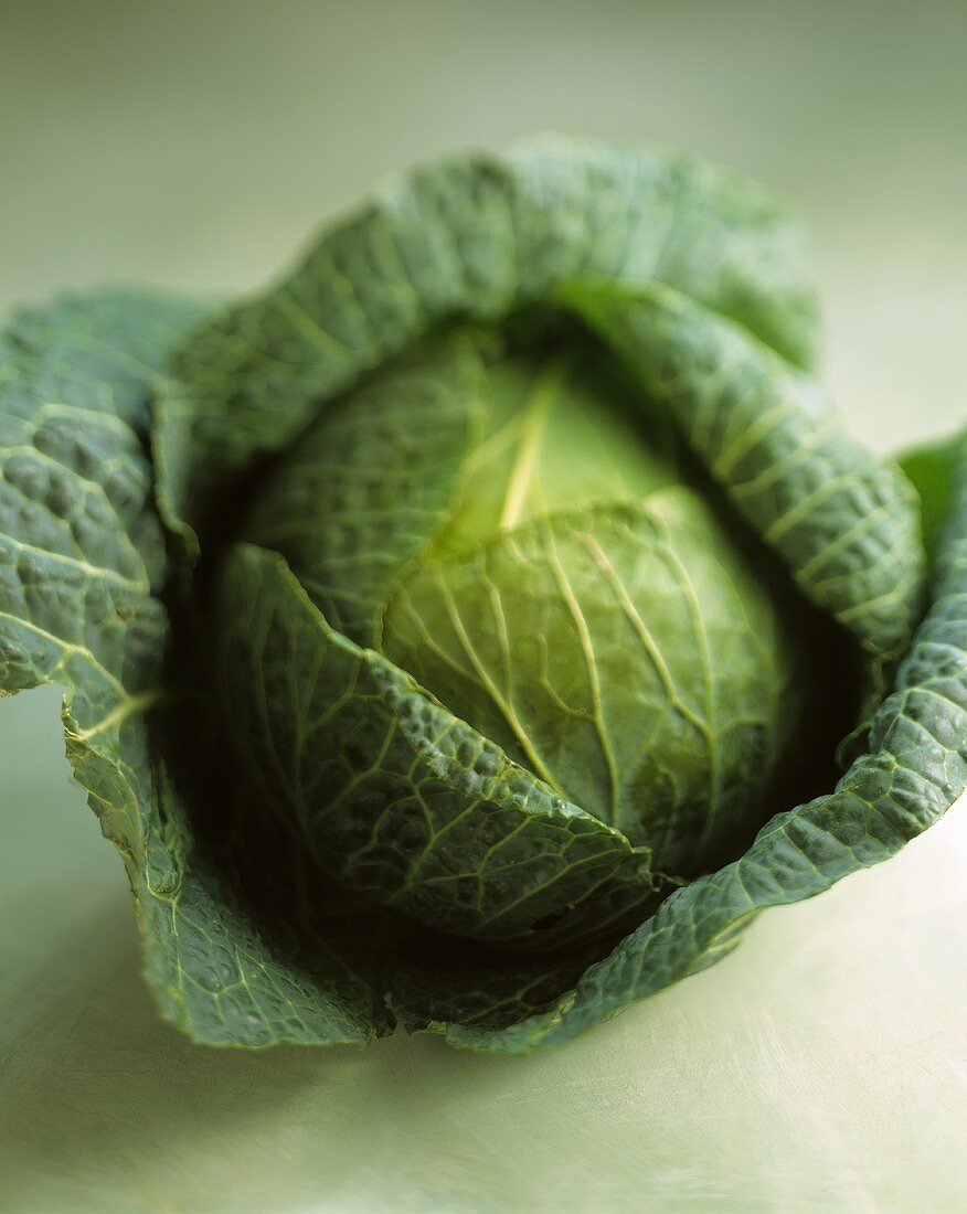 A savoy cabbage