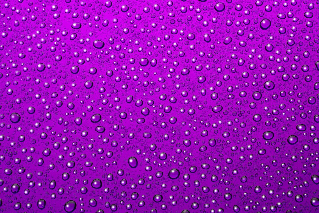 Drops of water on purple background