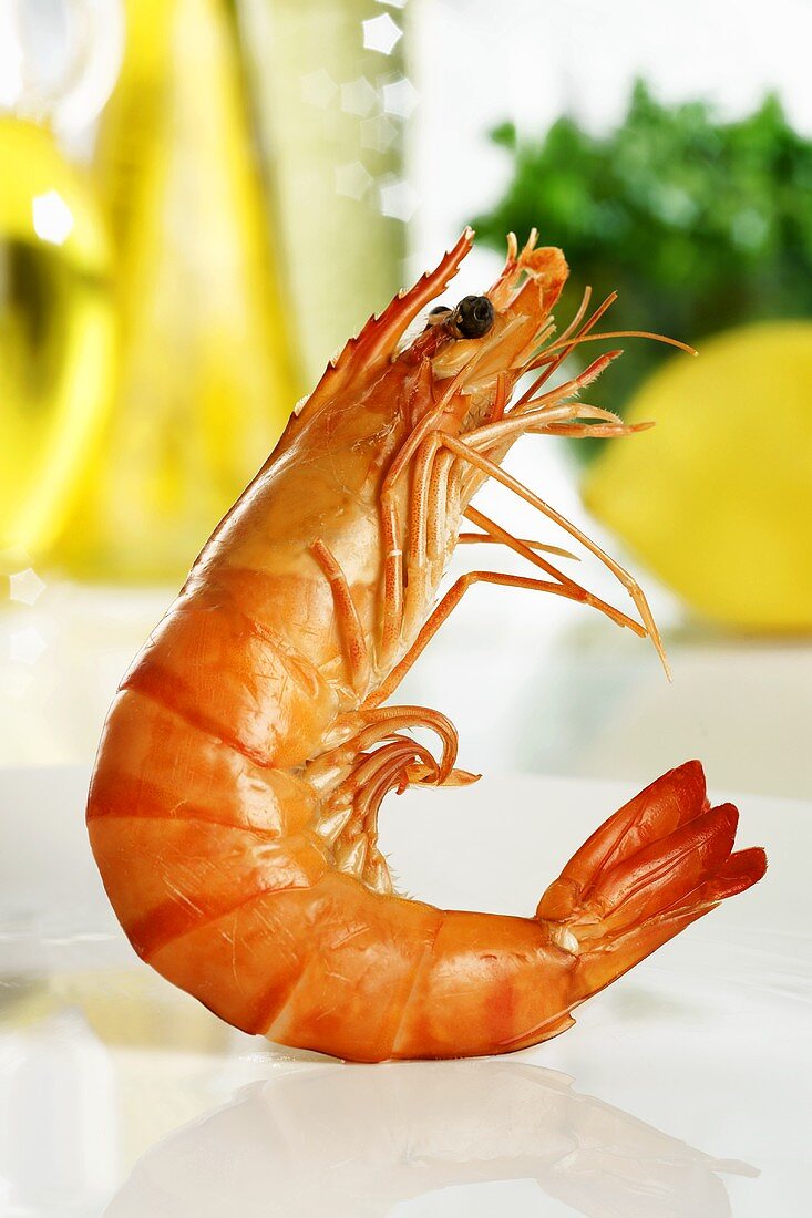 A king prawn balanced on its tail