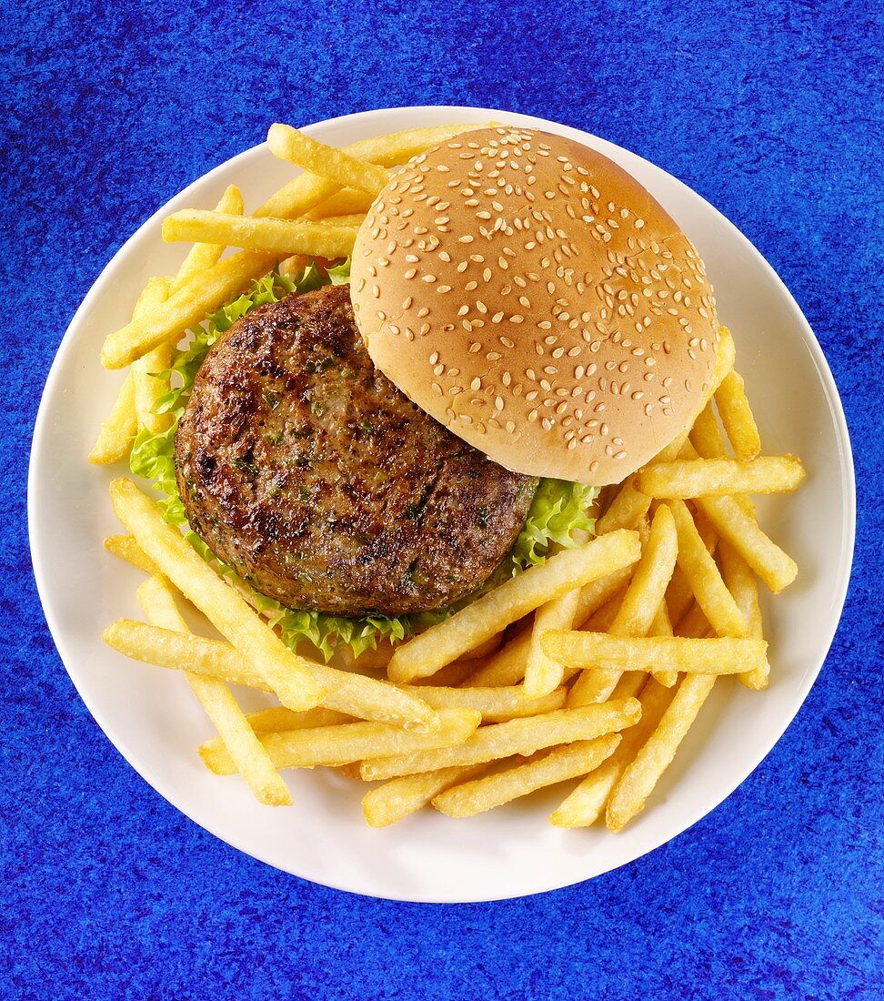 Hamburger with chips