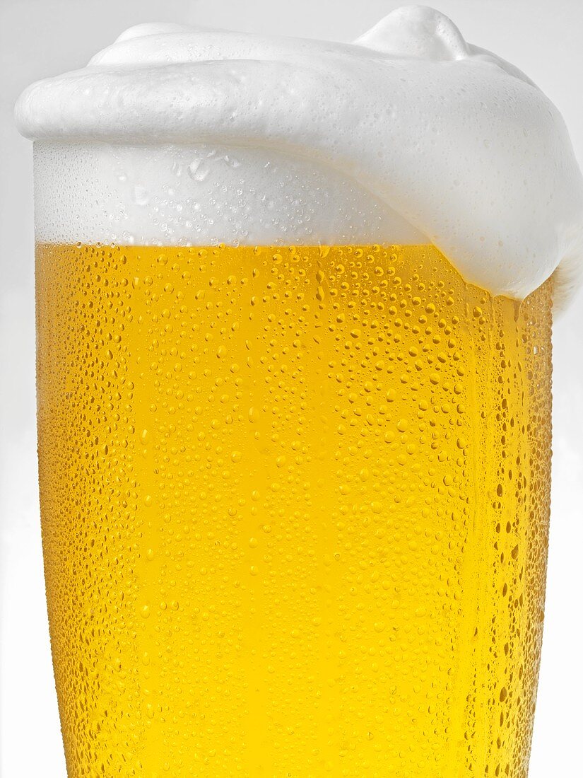 Pils with head of foam in glass with condensation