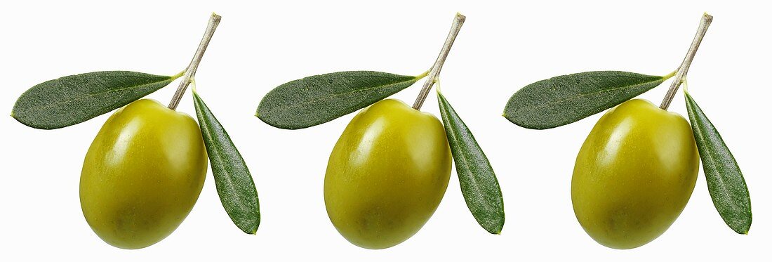 Three green olives with leaves