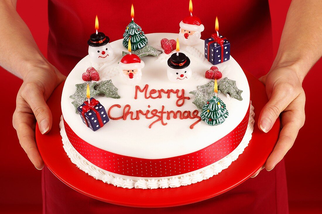 Hands holding a Christmas cake