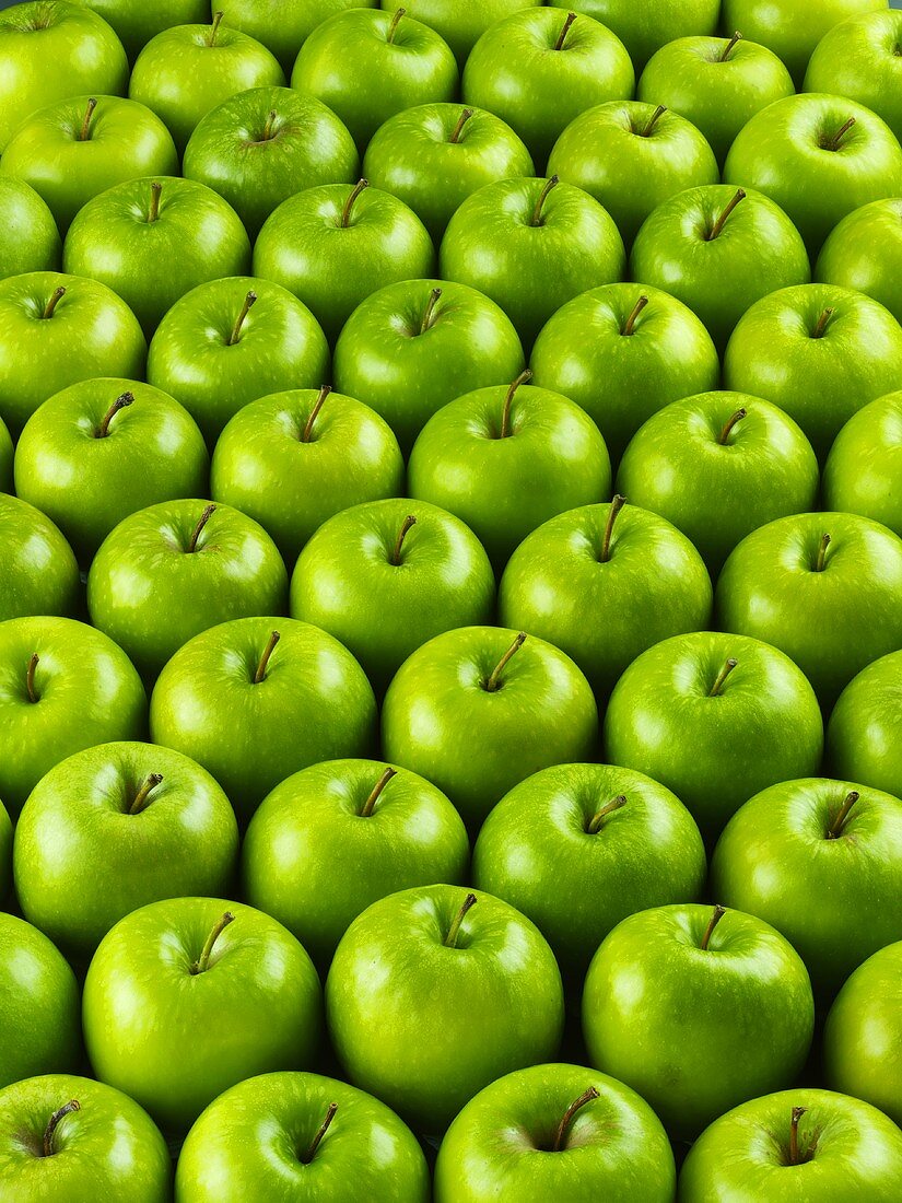 Viele Äpfel der Sorte 'Granny Smith'