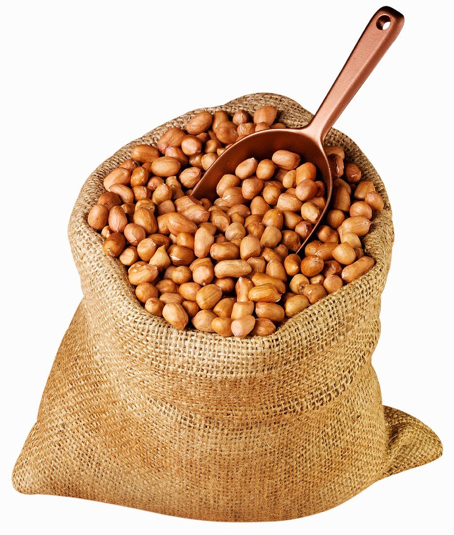 Geschälte Erdnüsse in einem Jutesack mit Schaufel