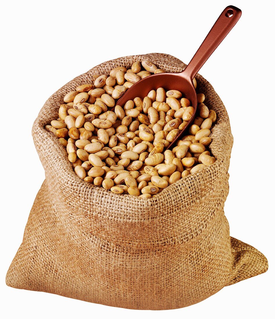 Soya nuts in jute sack with scoop