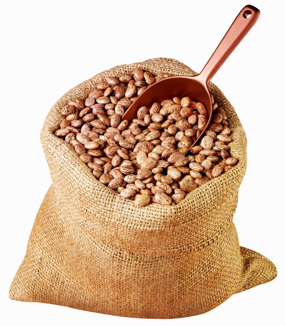Pinto beans in jute sack with scoop