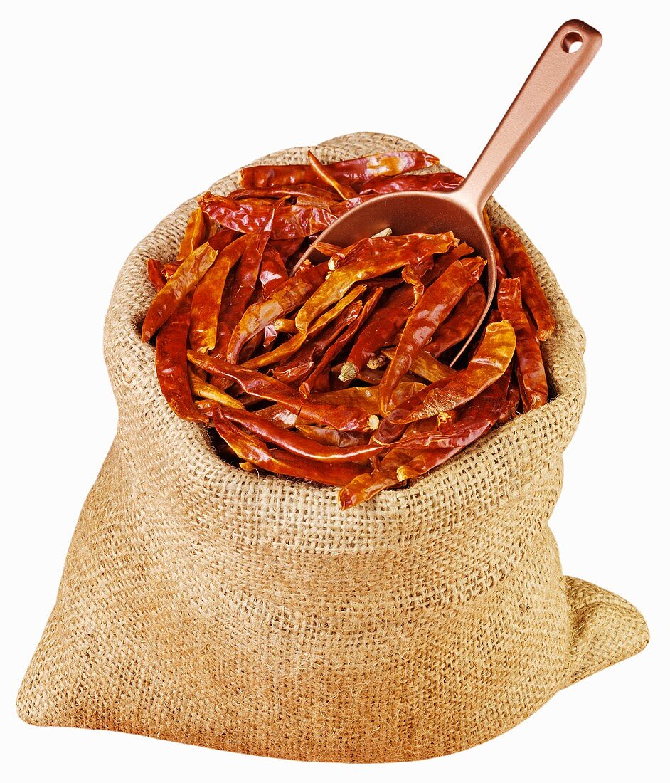 Dried red chillies in jute sack with scoop