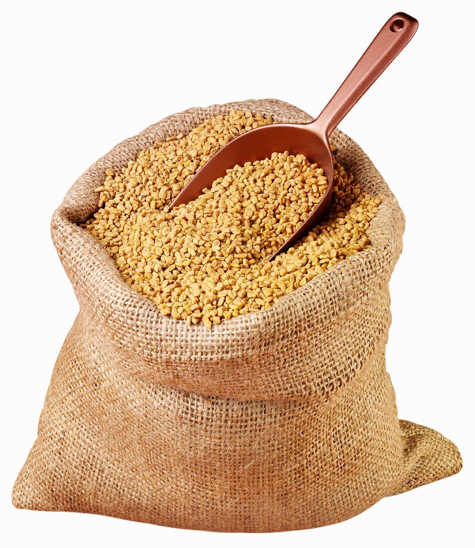Fenugreek seeds in jute sack with scoop