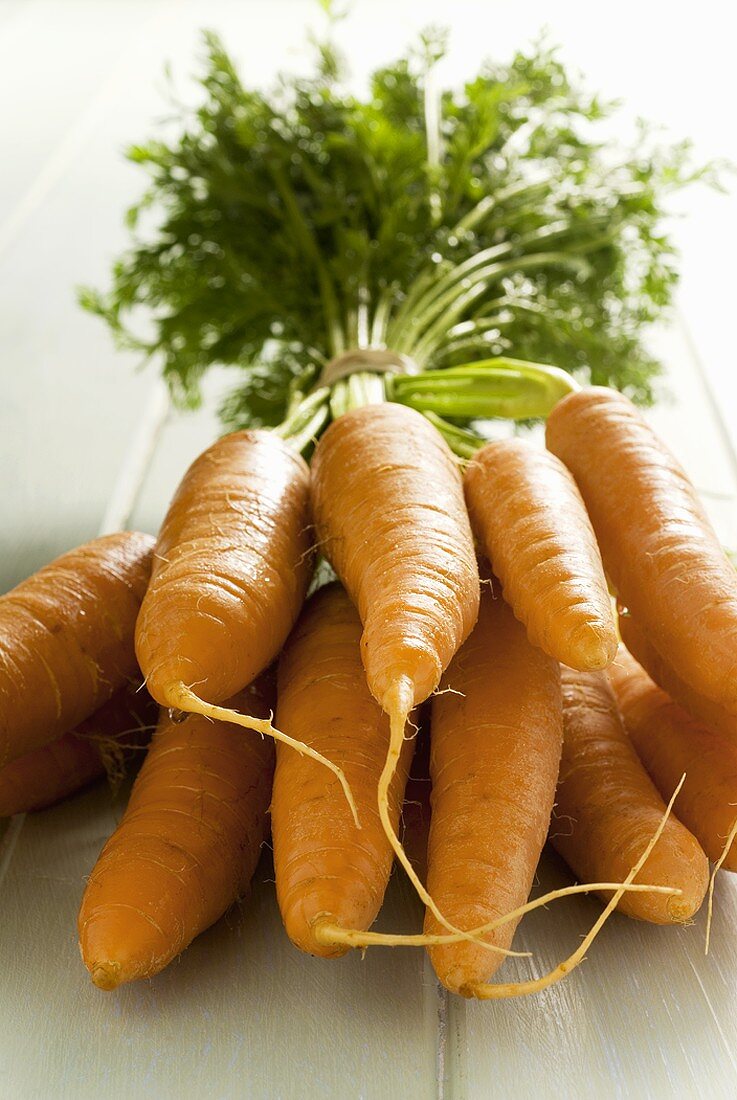 A bunch of carrots