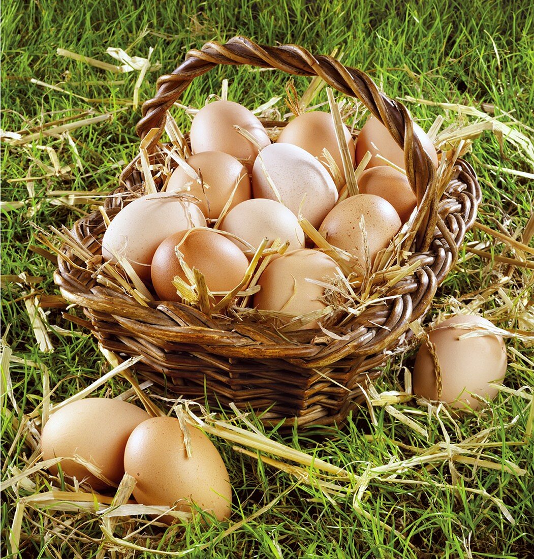 Hen's eggs in a basket on grass