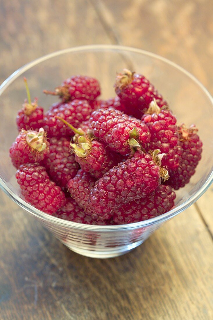 Tayberries (Cross between blackberry and raspberry)
