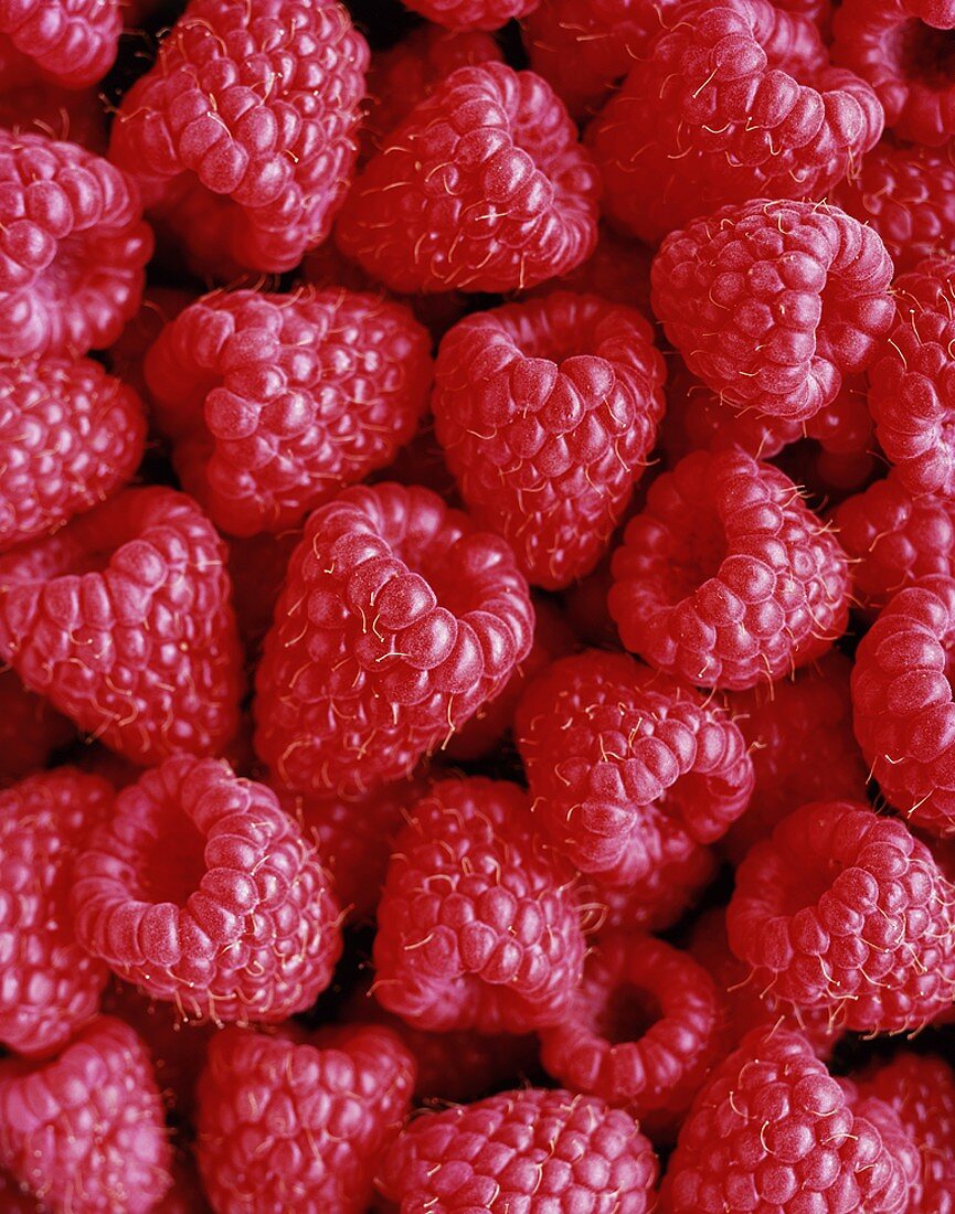 Fresh raspberries