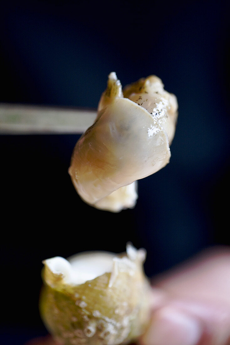 Whelk in a French restaurant