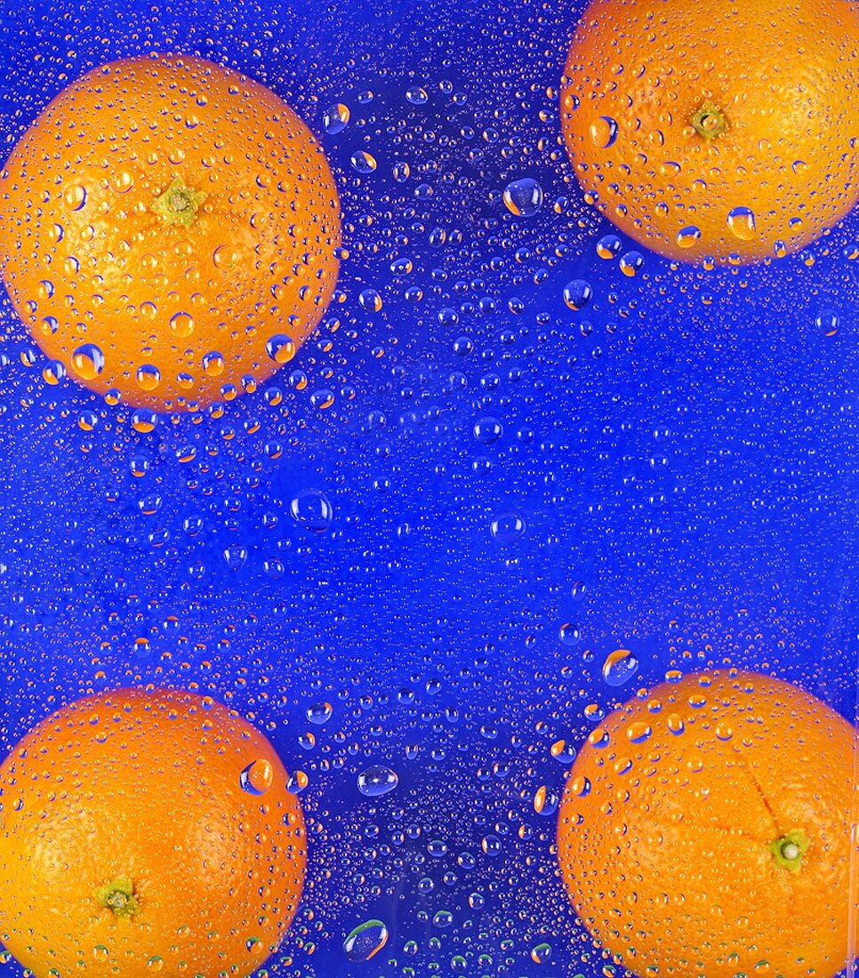 Four oranges under sheet of glass with water droplets