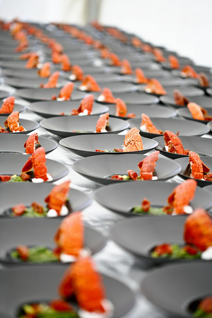 Cornish lobster salad (Lobster & asparagus salad, England)