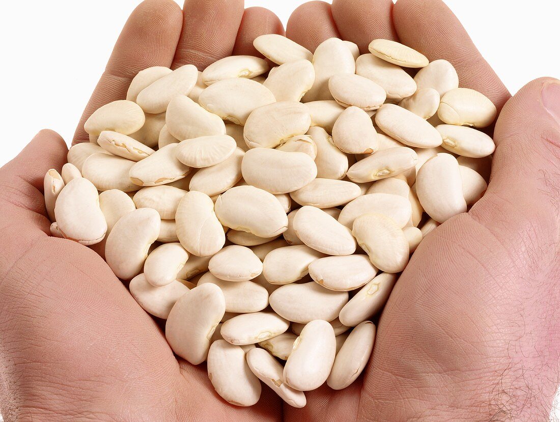 Hands holding white lima beans