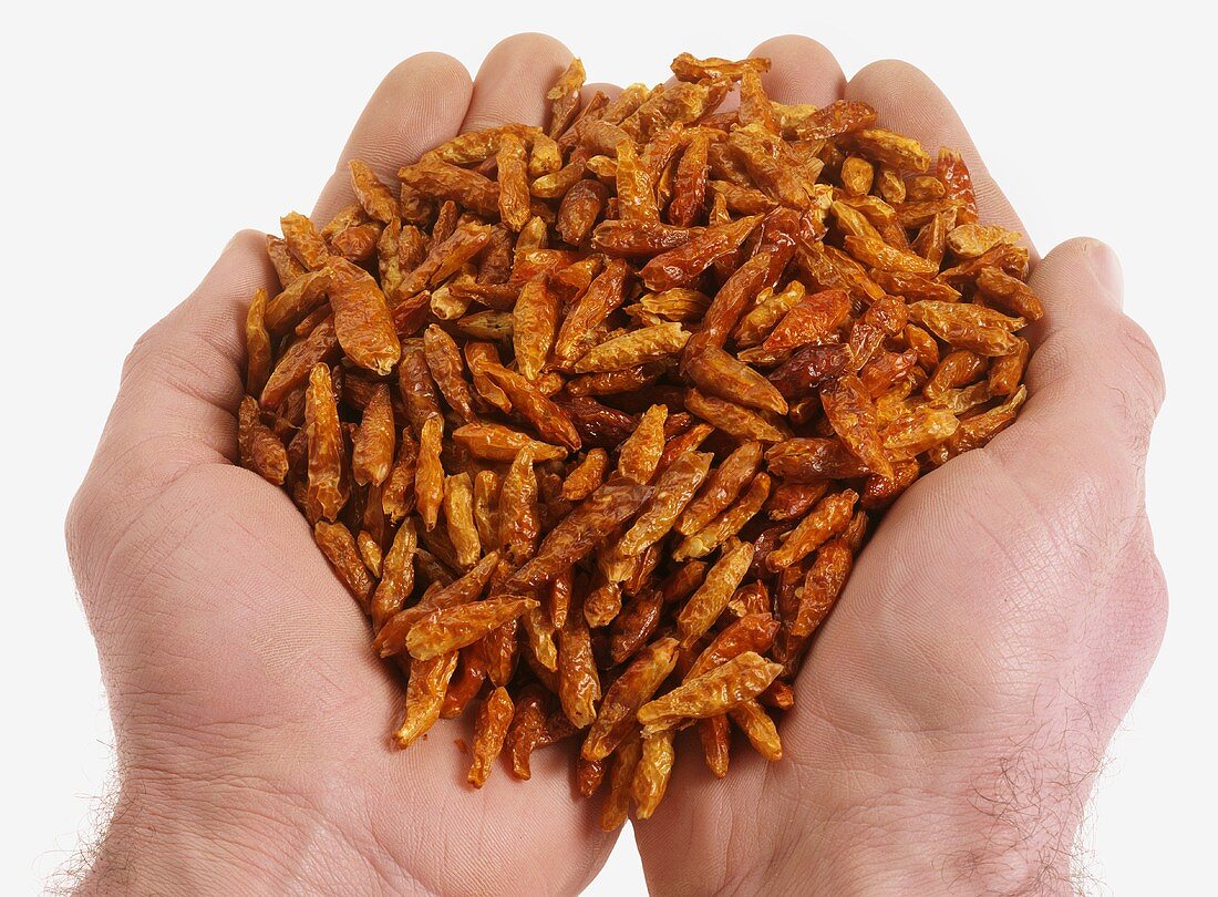 Hands holding dried chillies