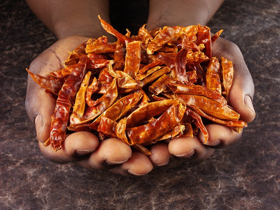 Hands holding dried chillies