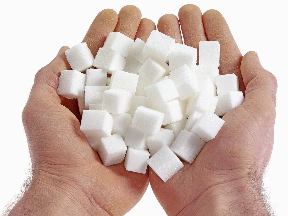 Hands holding sugar cubes