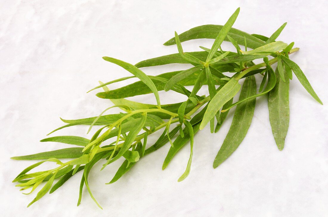 Fresh tarragon