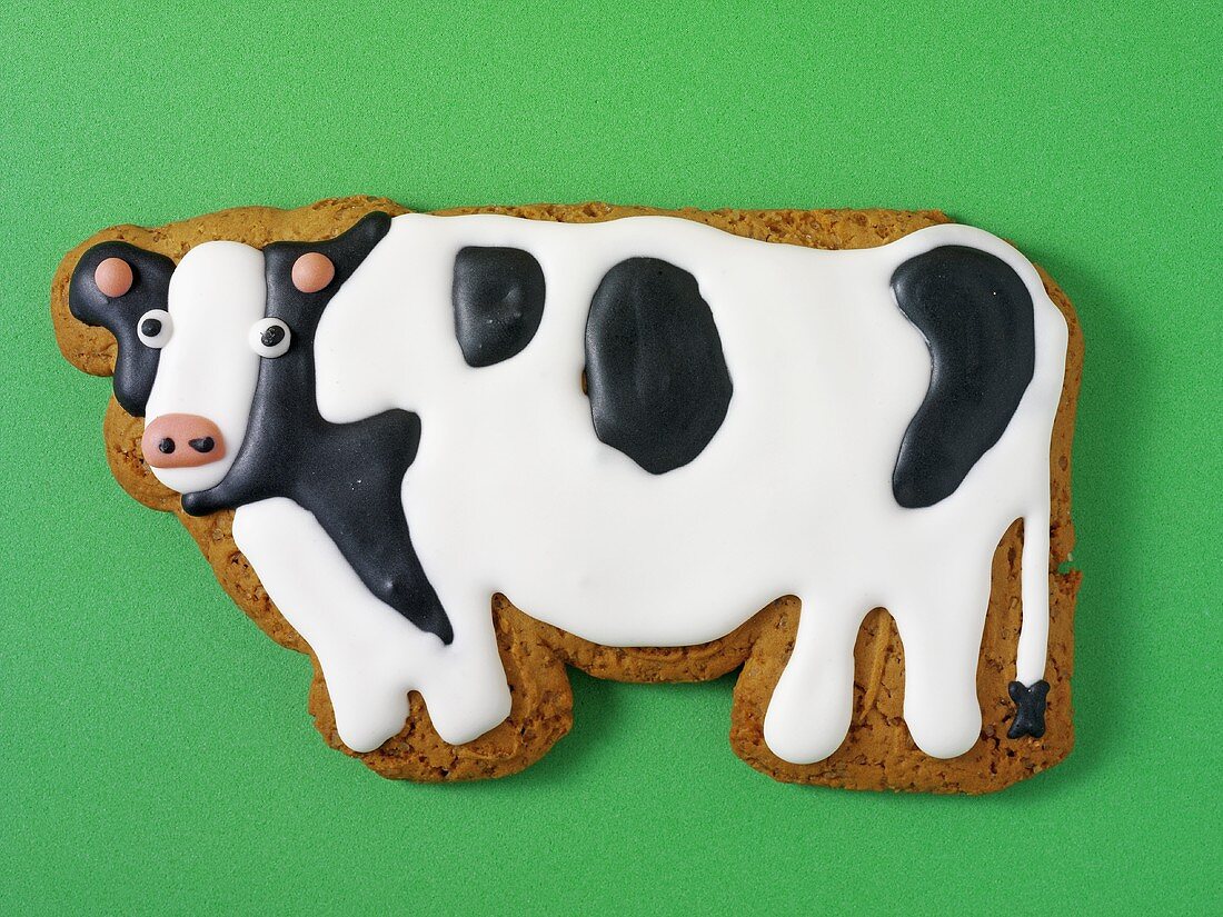 A cow biscuit